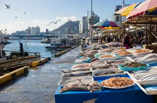 En Busan