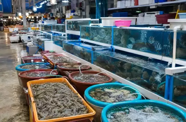 Jagalchi Market