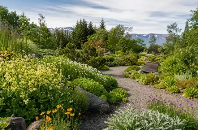 Jardín Botánico de Akureyri